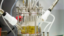 The beverage firms have joined L'Oreal in pledging to support bringing Carbios' technology to scale